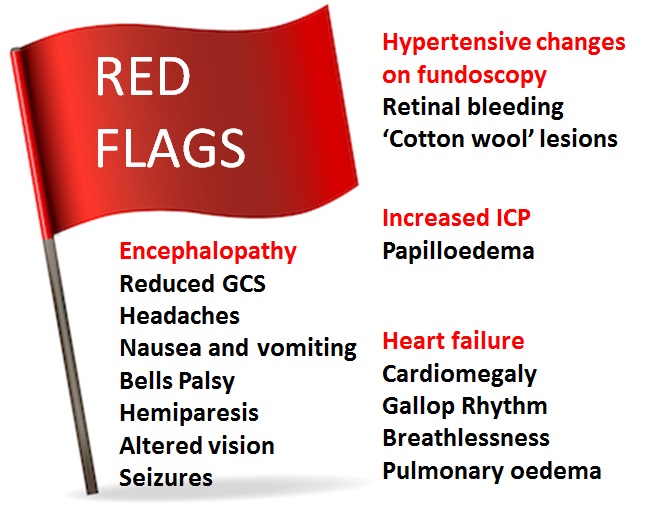 Red Flags Elevated Blood Pressure About Flag Collections