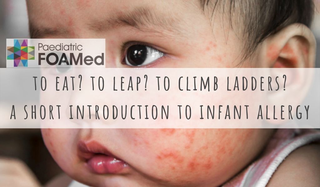 To EAT? To LEAP? To climb ladders? A peek into the world of Infant Allergy PaediatricFOAM